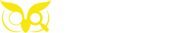 saborpro.online